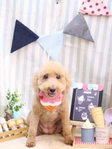 20250502COCOちゃん